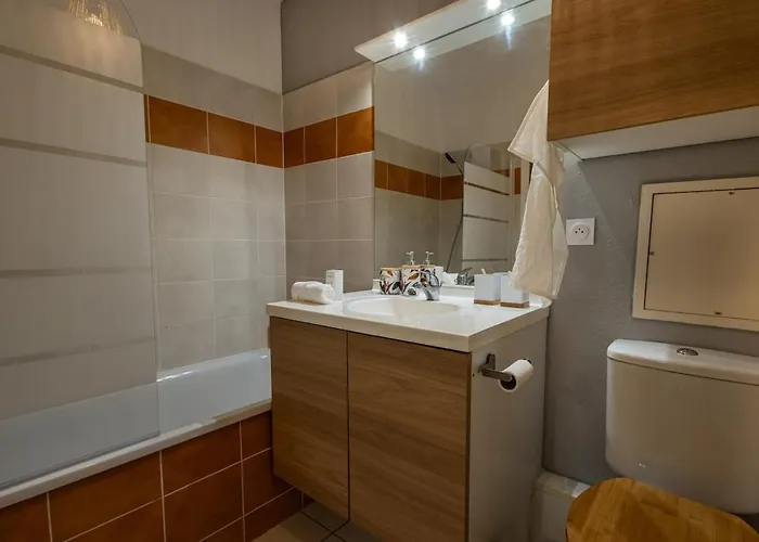 Le Cocon T2 Cosy, Piscine Et Parking Prive